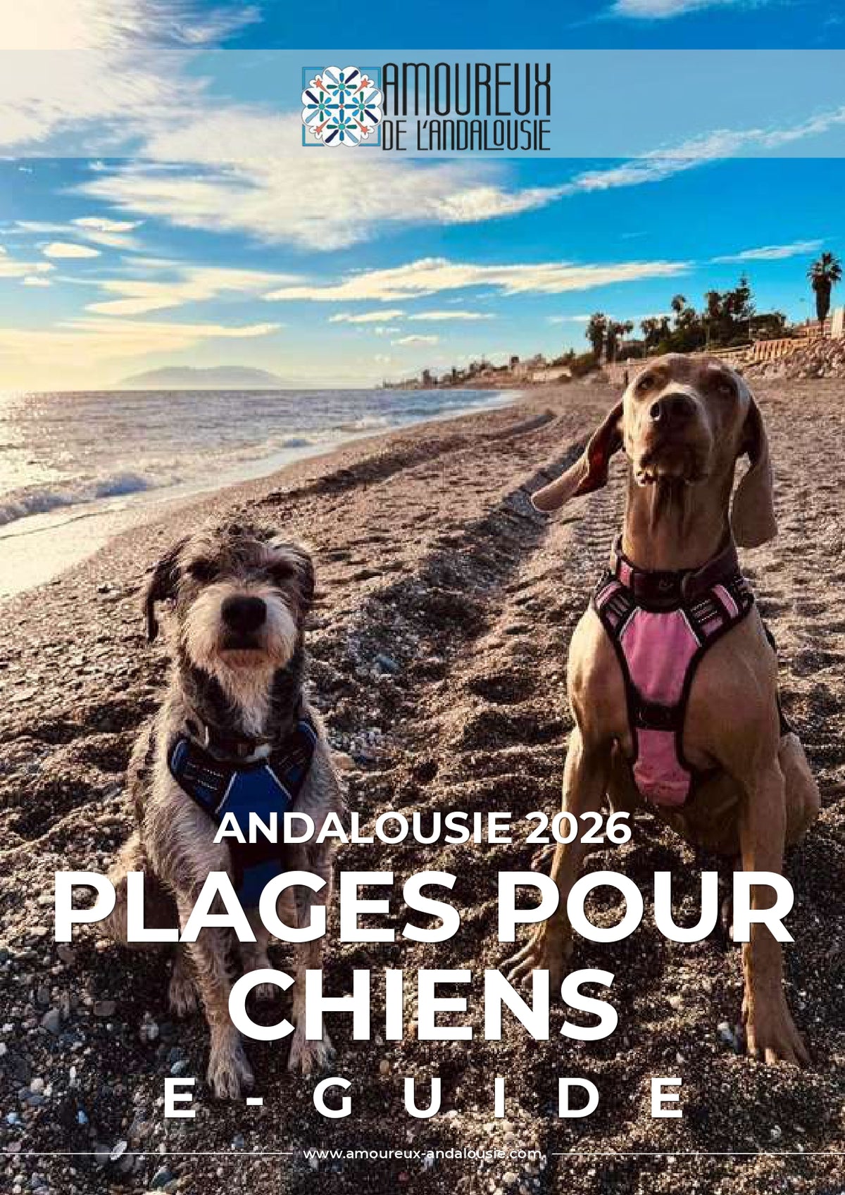Suivez le Guide ! Plages pour chiens en Andalousie — Guide voyage 2026 Gratuit
