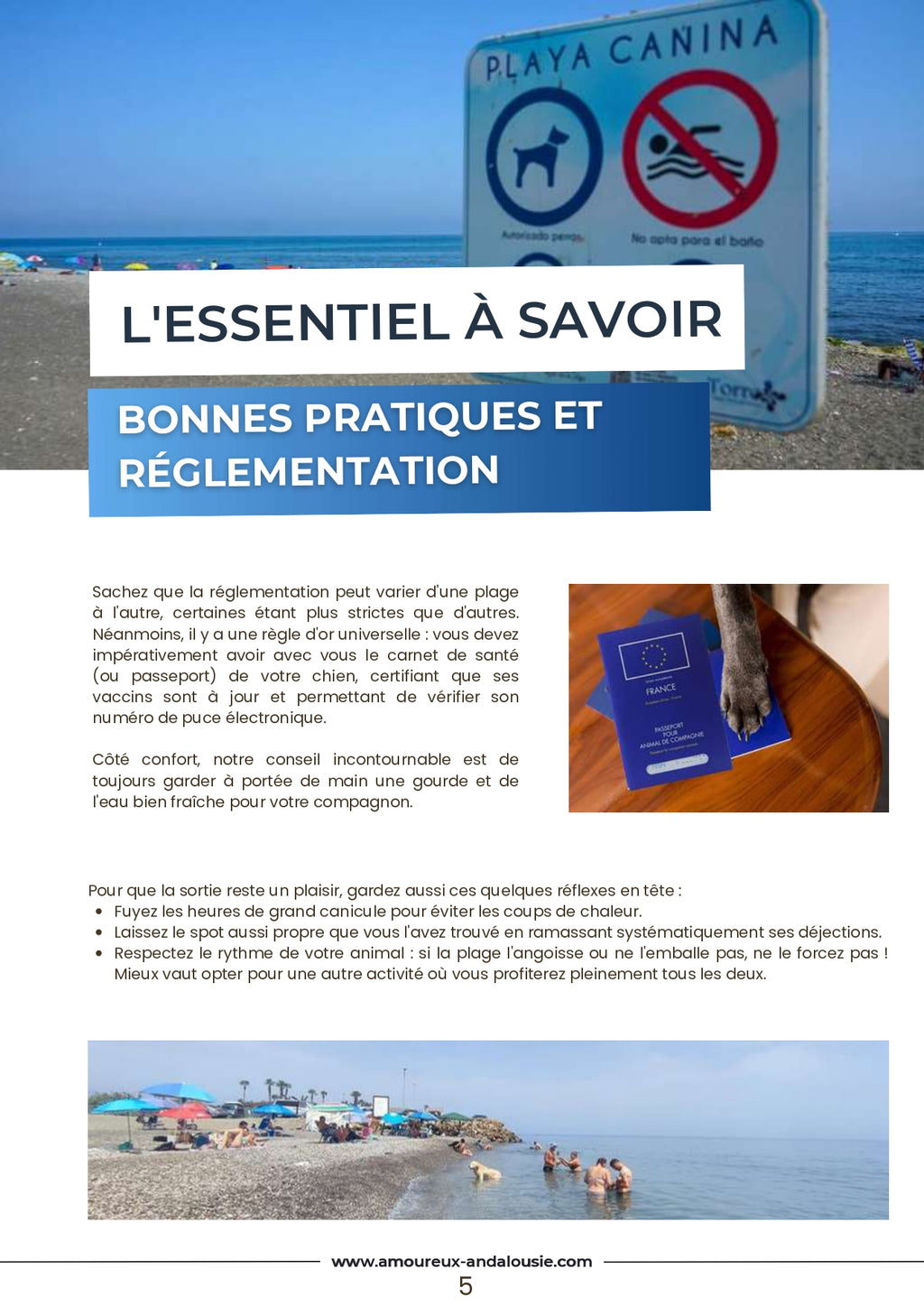 Suivez le Guide ! Plages pour chiens en Andalousie — Guide voyage 2026 Gratuit